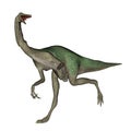 Gallimimus dinosaur walking - 3D render