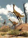 Gallimimus dinosaurs - 3D render Royalty Free Stock Photo