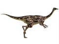 Gallimimus Profile