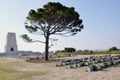 Lone Pine Cemetery and Memorial, Gallipoli Peninsula, Turkey Royalty Free Stock Photo