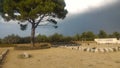 Lone Pine Cemetery