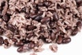 Gallo pinto Royalty Free Stock Photo