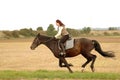 Gallop. Royalty Free Stock Photo