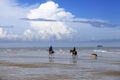 Gallop on the beach