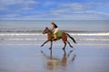 Gallop on the beach