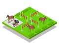 Gallop concept banner, isometric style