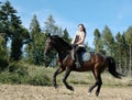 Gallop. Horse and equestrienne.