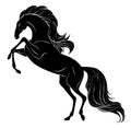 Galloping horse with long mane and tail Royalty Free Stock Photo