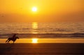 Galloping horse and rider at sunset on the beach Royalty Free Stock Photo