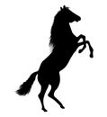 Galloping horse vector.Horse silhouette.