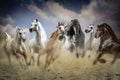 Herd of arabian horses galloping in the sand Royalty Free Stock Photo
