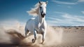 Galloping white horse exudes strength and elegance Royalty Free Stock Photo