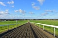 The Gallops Newmarket, Suffolk, UK Royalty Free Stock Photo