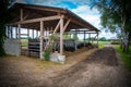 Galloway cattle on a farm Royalty Free Stock Photo