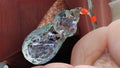 Gallstones in the gallbladderand bile duct, human liver and gallbladder with stones Royalty Free Stock Photo