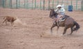 Gallup, Indian Rodeo Royalty Free Stock Photo