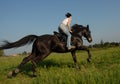 Galop Royalty Free Stock Photo