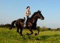 Galop Royalty Free Stock Photo
