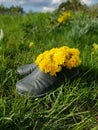 Galoshes rubber rubbers kitchen garden gardening summer rural agriculture Royalty Free Stock Photo