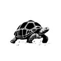 Galpagos Tortoise. Galpagos Tortoise simple black and white line art vector logo Royalty Free Stock Photo