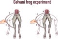 Galvani experiment with frog legs vector illustration Royalty Free Stock Photo