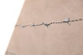 Galvanised steel barbed wire with gray wall in the background