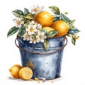 a galvanized bucket filled with fruits