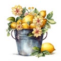 a galvanized bucket filled with fruits