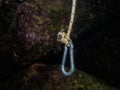 A galvanized carabiner hook underwater Royalty Free Stock Photo