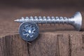 Galvanized Self-tapping screws for a PZ3 bit