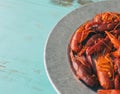 Galvanized steel platter filled with boiled crawfish. Close view, turquoise wood table with copy space. Royalty Free Stock Photo