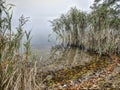 Galve lake coastline