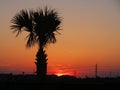 Galveston sunset. Royalty Free Stock Photo