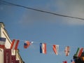 07/03/2019 Galway city, Ireland. European countries hanging over Shop street