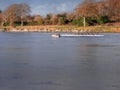 Galway, Ireland - 02.01.2020: An eight rowing in Corrib river, coach in a motor boat. Outdoor sport. Cloudy sky, Winter season