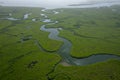 Gambia Mangroves. Aerial view of mangrove forest in Gambia. Photo made by drone from above. Africa Natural Landscape