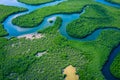 Gambia Mangroves. Aerial view of mangrove forest in Gambia. Photo made by drone from above. Africa Natural Landscape Royalty Free Stock Photo