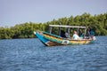 Gambia Mangroves. Lamin Lodge. Traditional long boats. Green mangrove trees in forest. Gambia