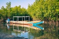 Gambia Mangroves. Lamin Lodge. Traditional long boats. Green mangrove trees in forest. Gambia