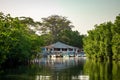 Gambia Mangroves. Lamin Lodge. Traditional long boats. Green mangrove trees in forest. Gambia