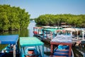 Gambia Mangroves. Lamin Lodge. Traditional long boats. Green mangrove trees in forest. Gambia