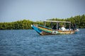 Gambia Mangroves. Traditional long boat. Green mangrove trees in forest. Gambia