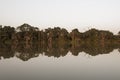 Gambia river Royalty Free Stock Photo