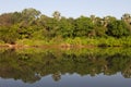 Gambia river in Niokolo Koba Royalty Free Stock Photo
