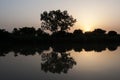 Gambia river sanset Royalty Free Stock Photo