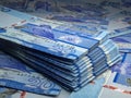 Gambian money. Gambian dalasi banknotes. 20 GMD dalasis bills