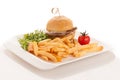 Gamburger with frenchfries on a plate isolated over white background Royalty Free Stock Photo