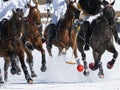 In game action of snow polo