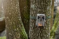 Trail camera attached to a tree with strap in forest Royalty Free Stock Photo