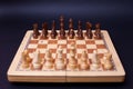 A game of chess, the beginning of a chess game two sides opposite each other. Royalty Free Stock Photo